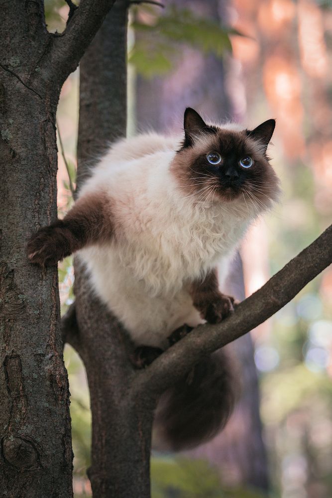 Photograph by Волкова Анна