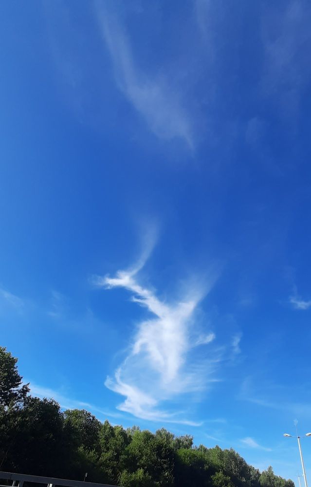 Photograph by Наталья Ткаченко