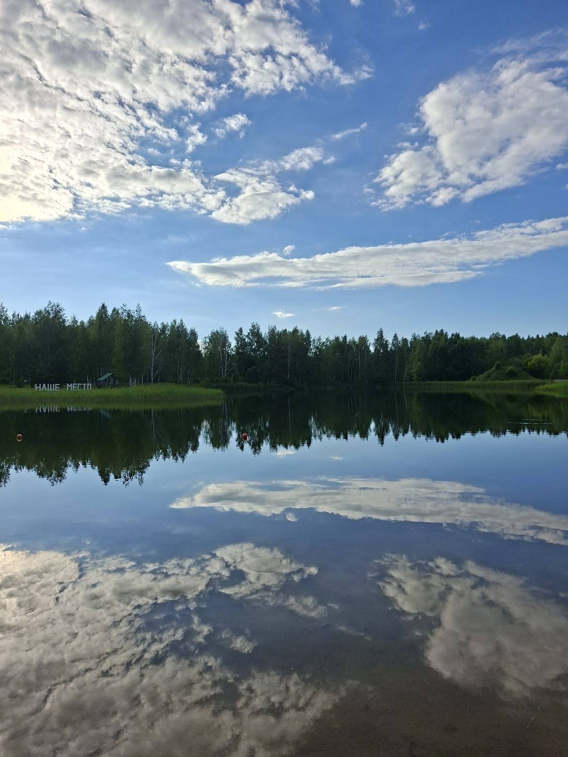 Photo #13753965