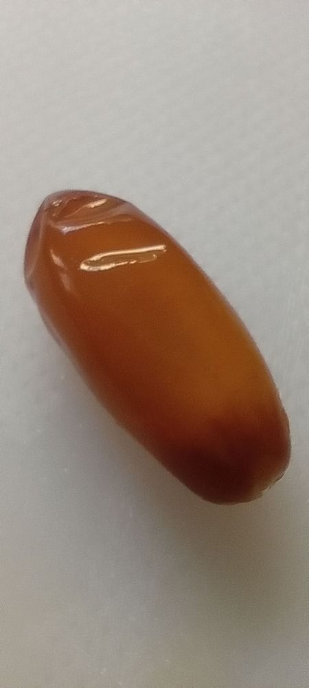 Tunisian dates