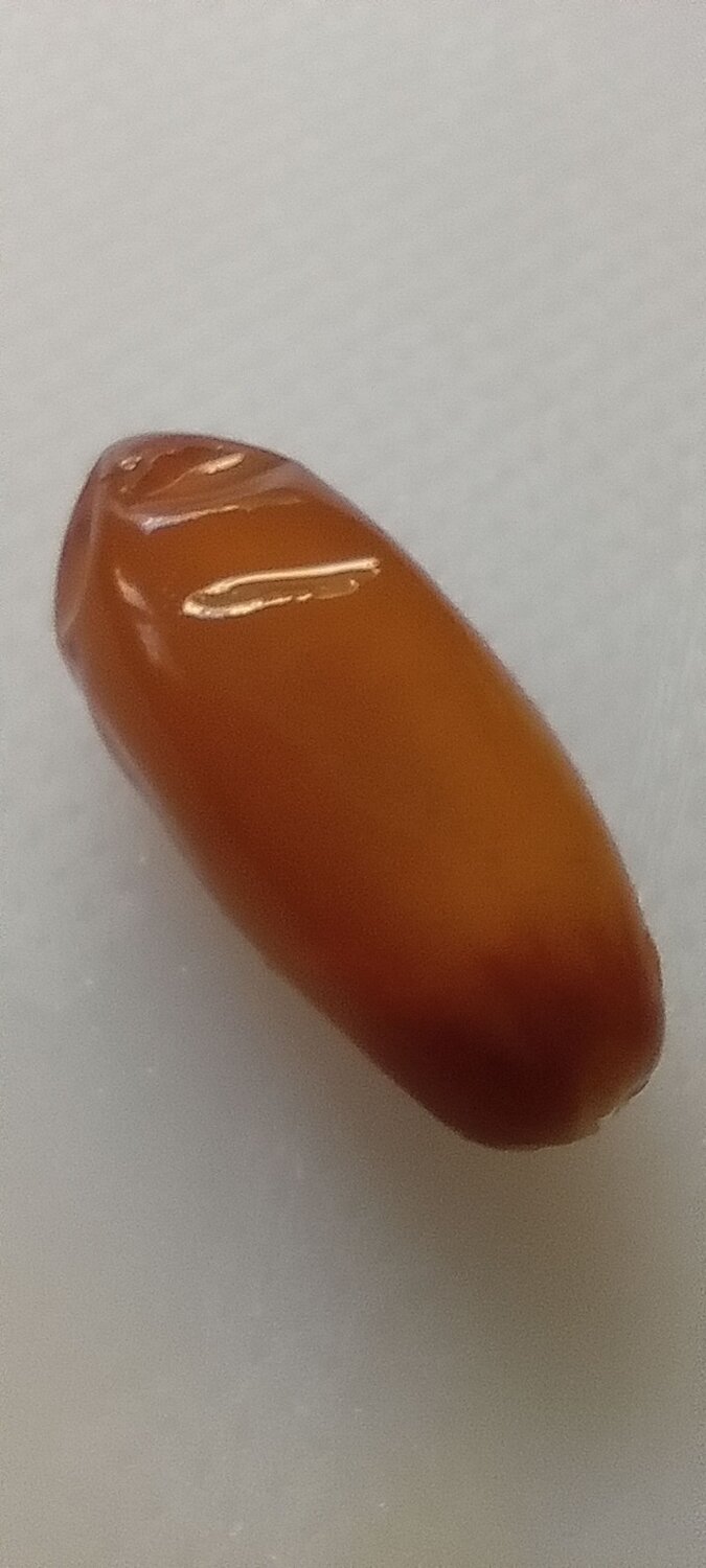 Tunisian dates