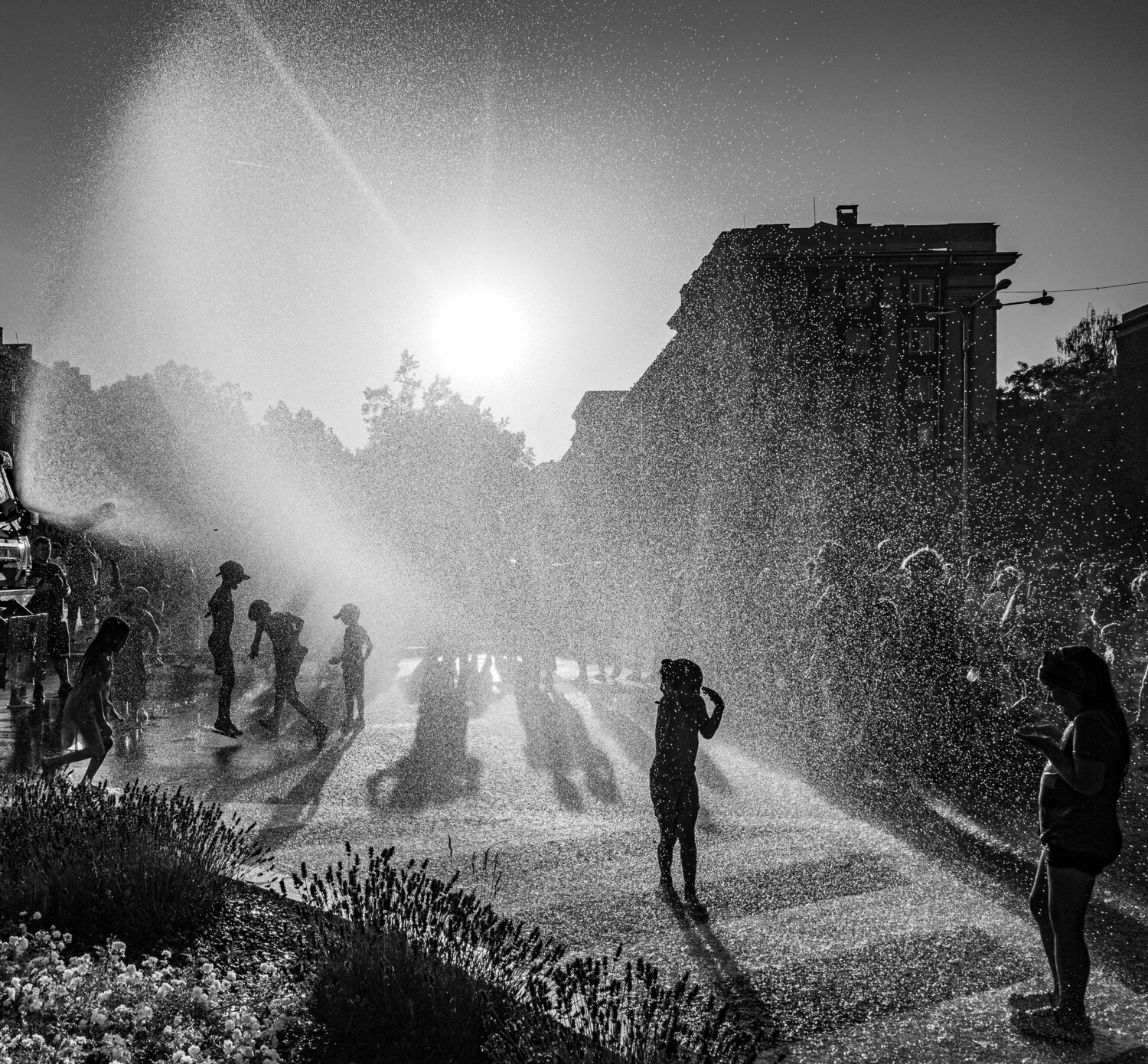 Photo #13754014