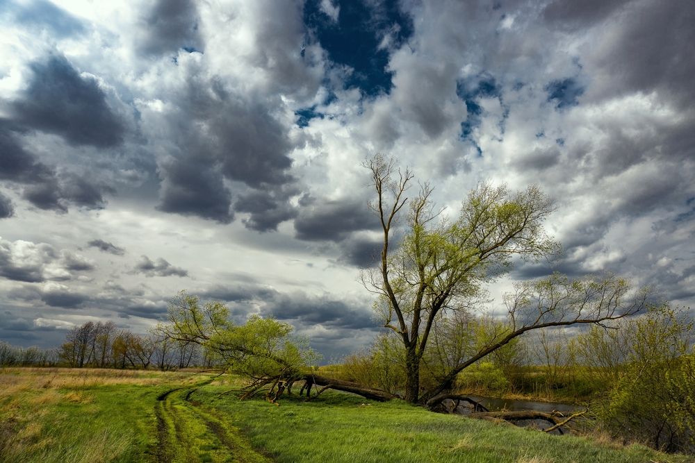 Photograph by Елена