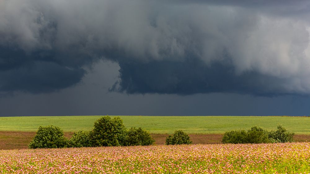 Photograph by Литвинов Александр