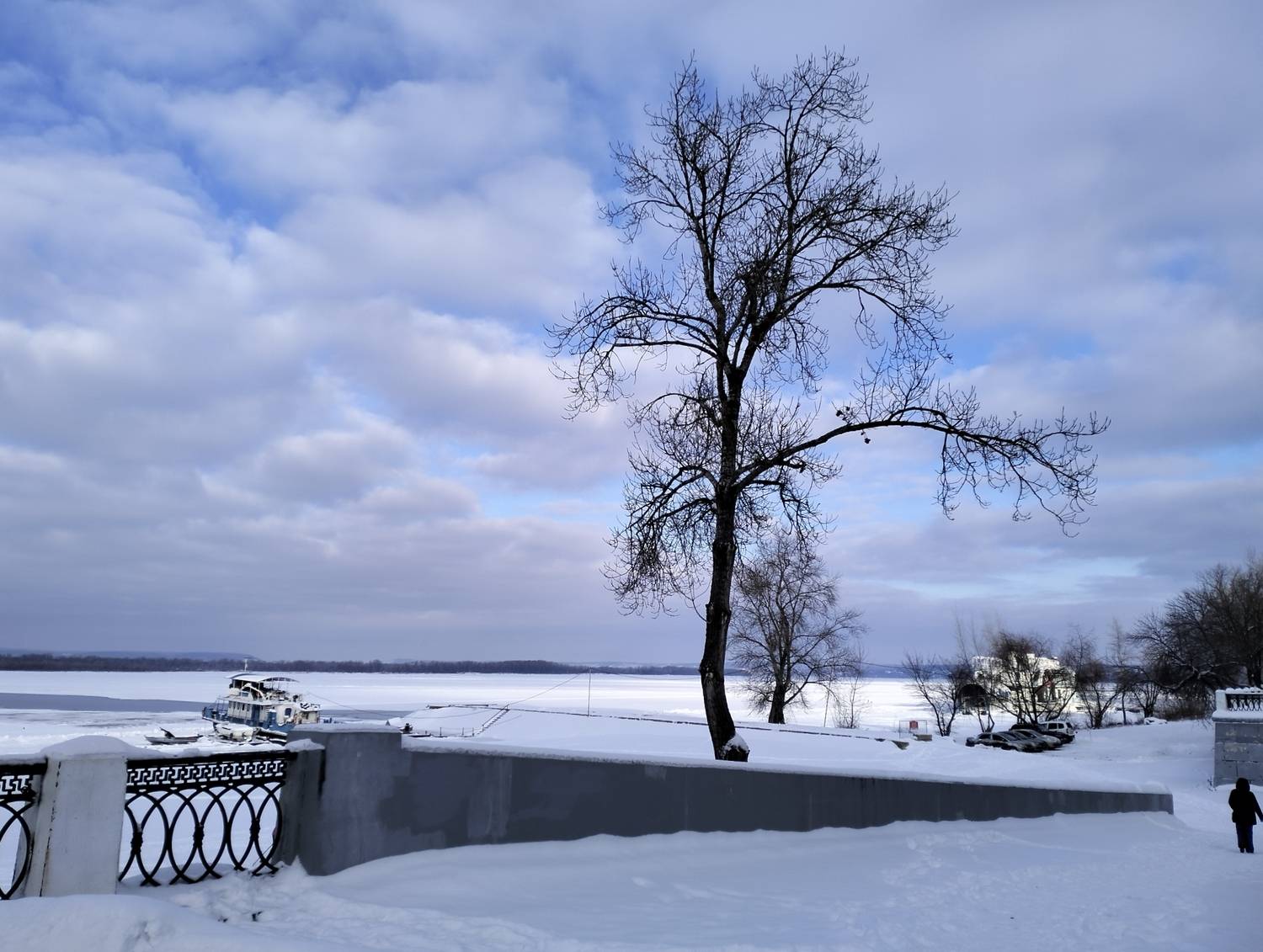 Photo #13754185