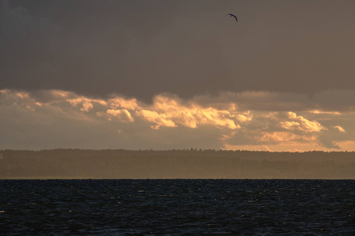 Photo #13754224