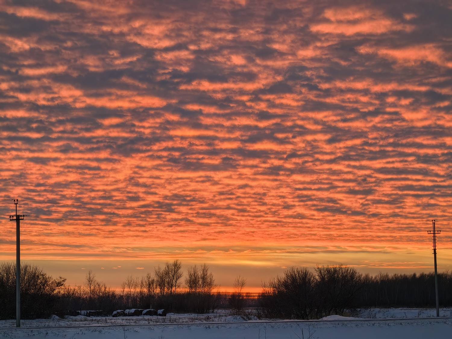 Photo #13754229
