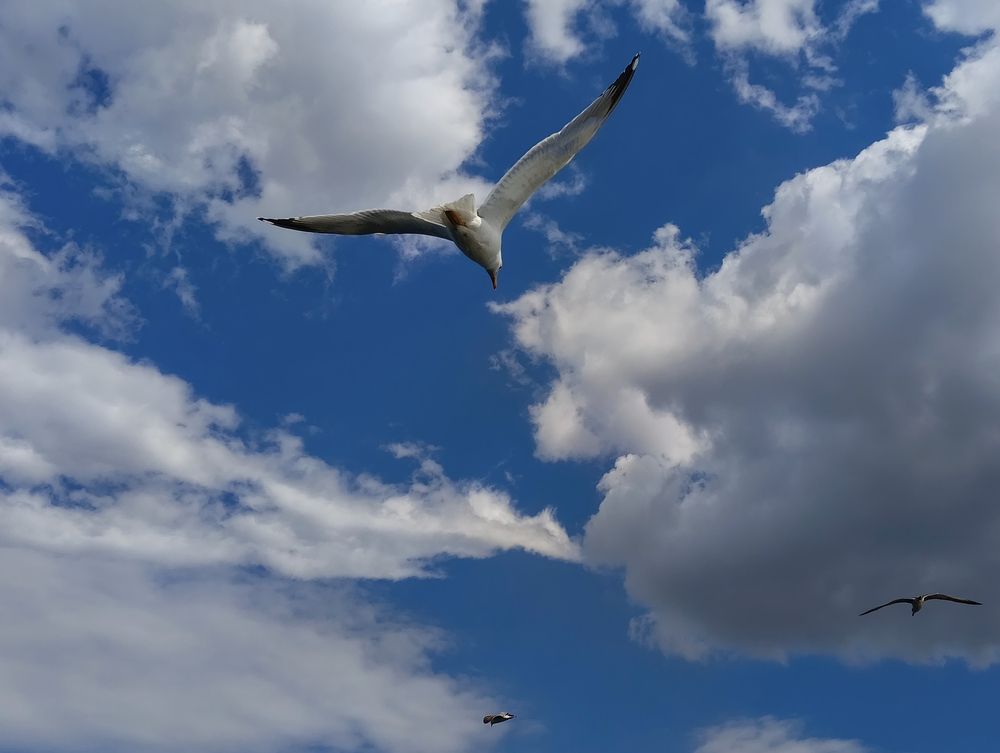 Photograph by Елена Чернякова