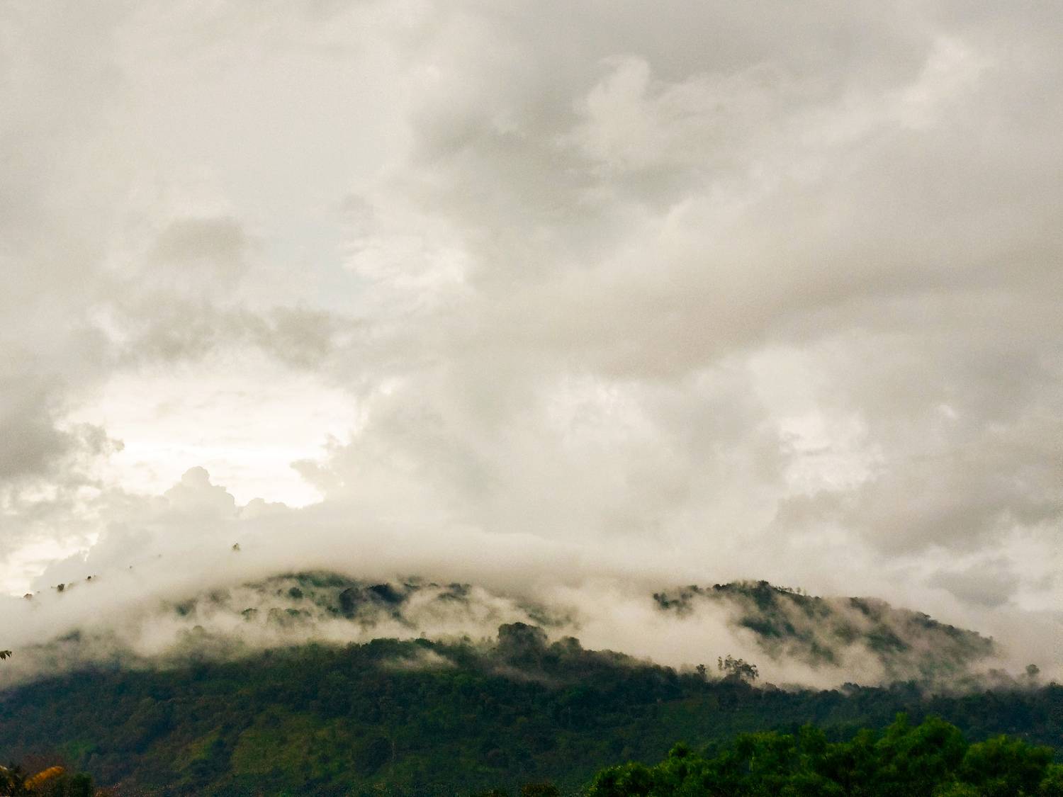 Photo #13754243