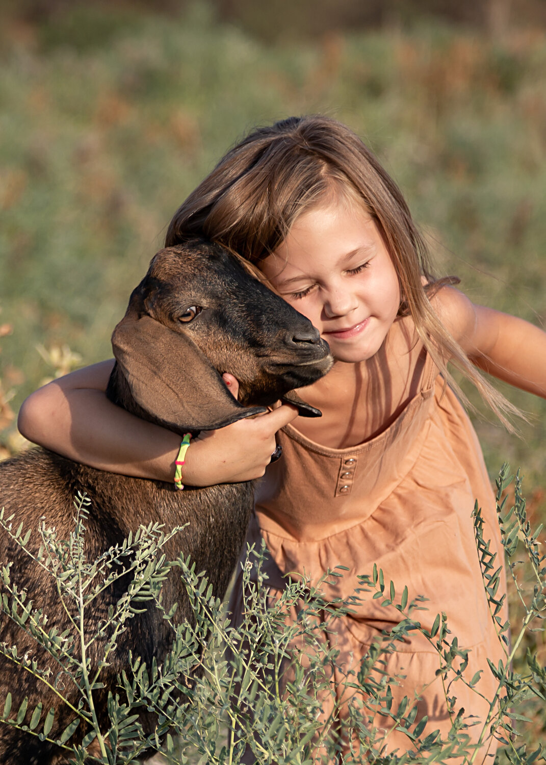 Photo #13754281