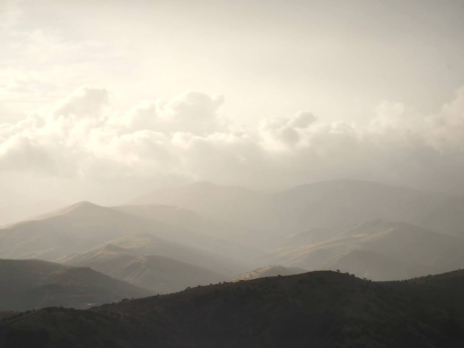 Photo #13754336