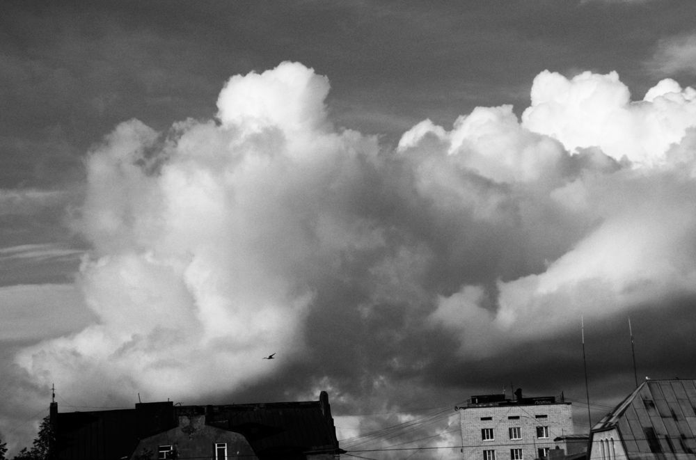 Photograph by АЛЛА ТАРАСЕНКО