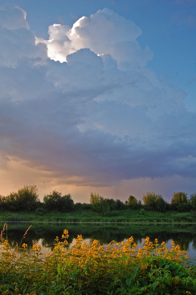 Photograph by Майя Синичкина