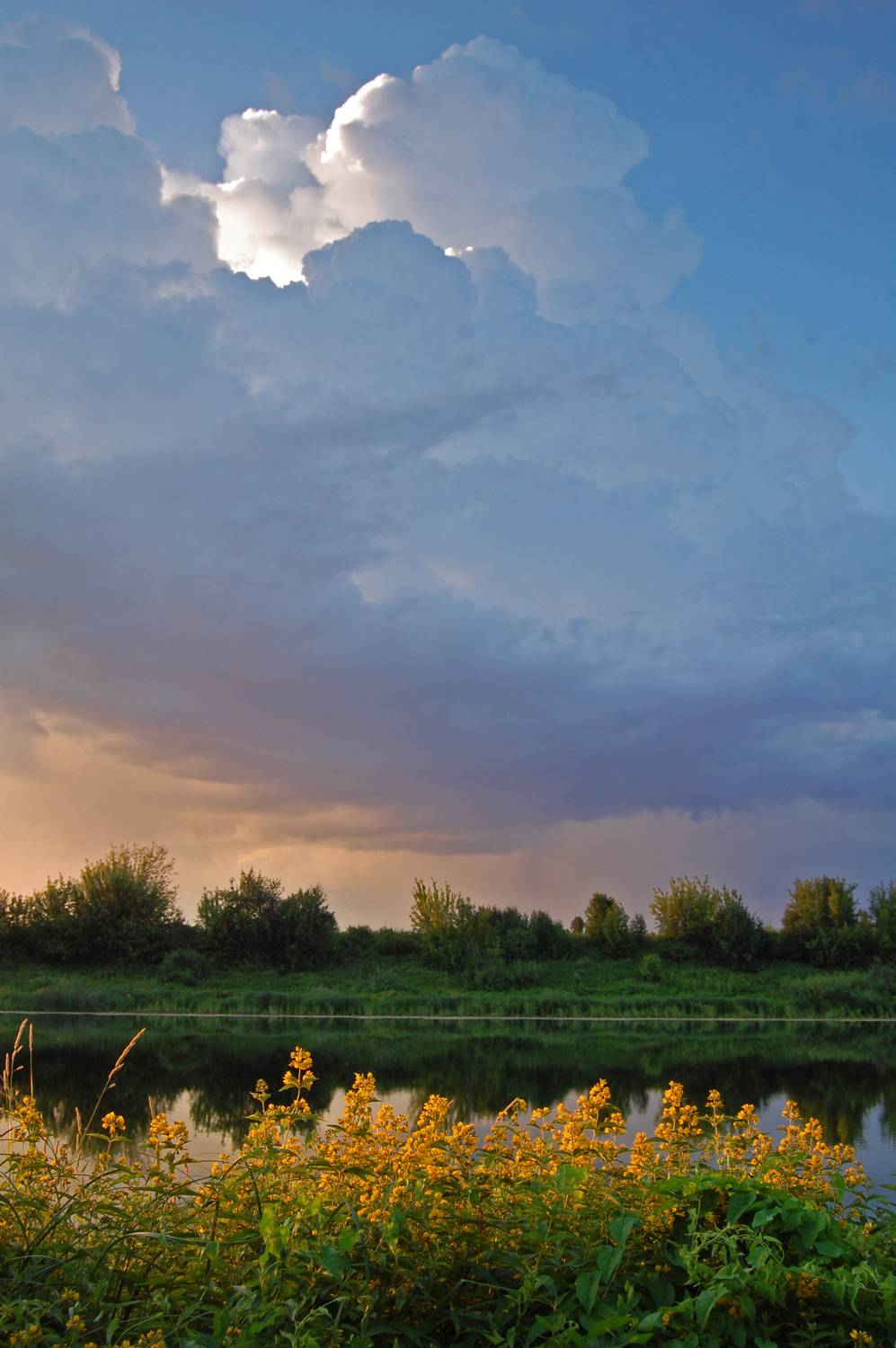 Photo #13754521