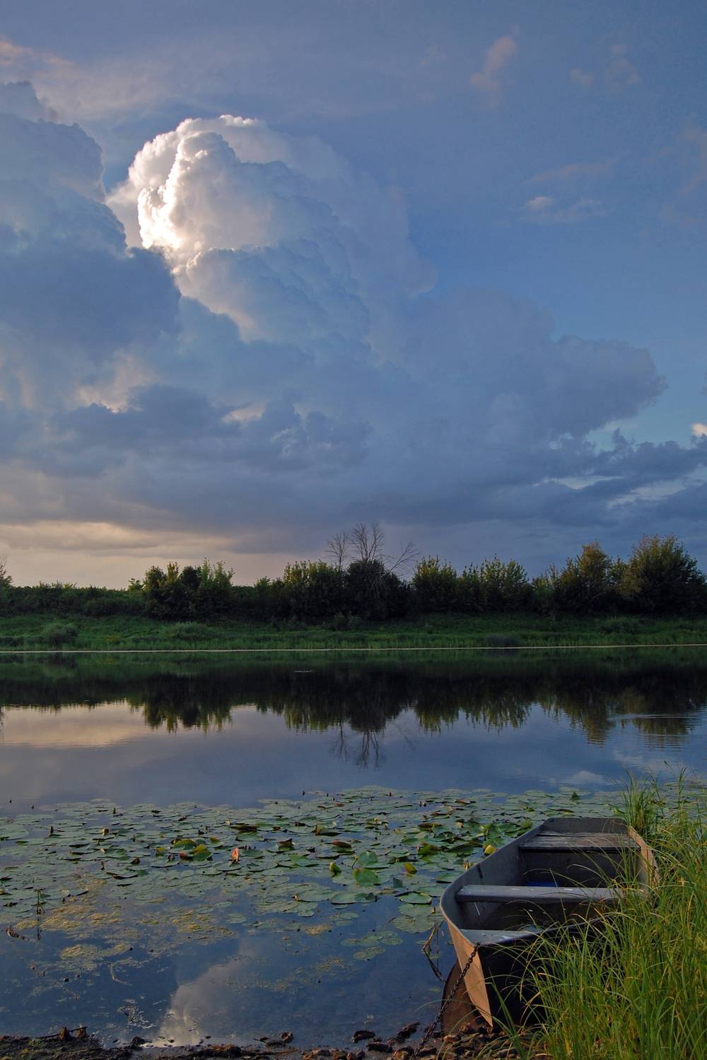 Photo #13754523