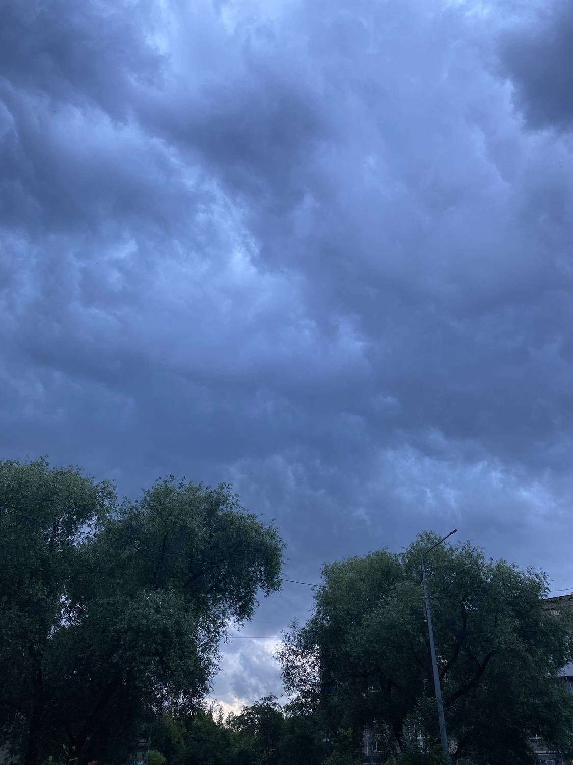 Photo #13754531