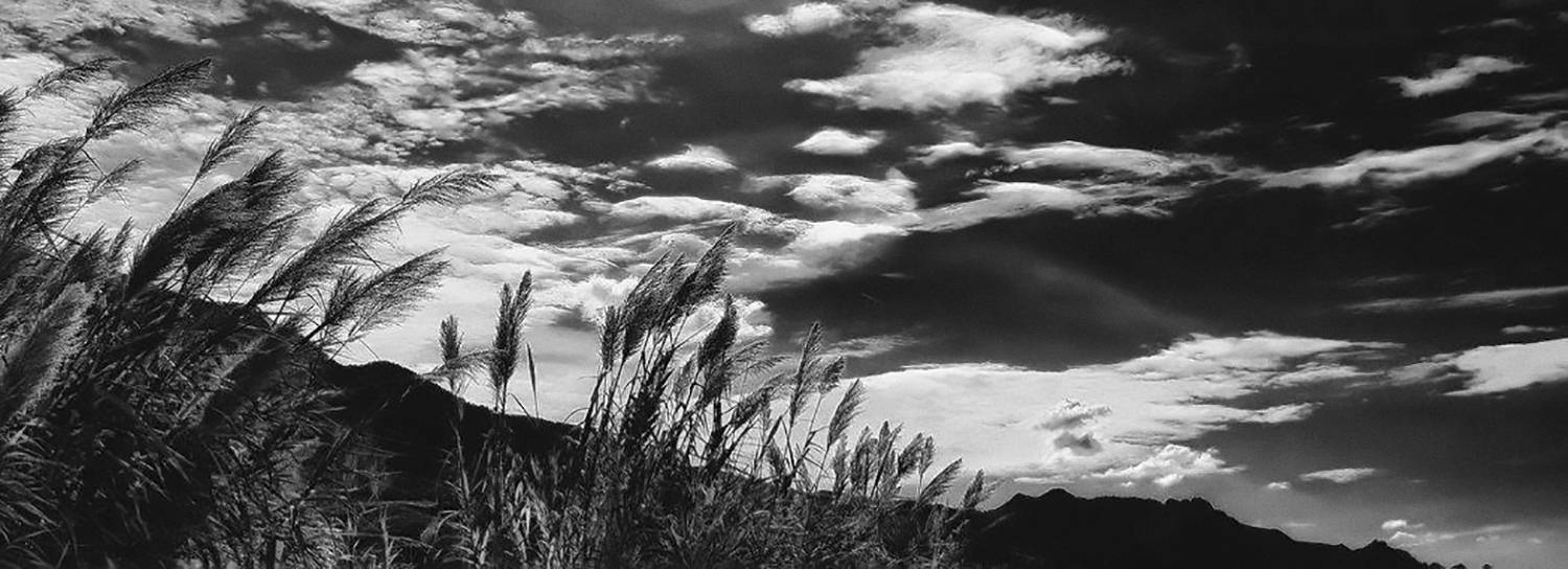 Photo #13754555