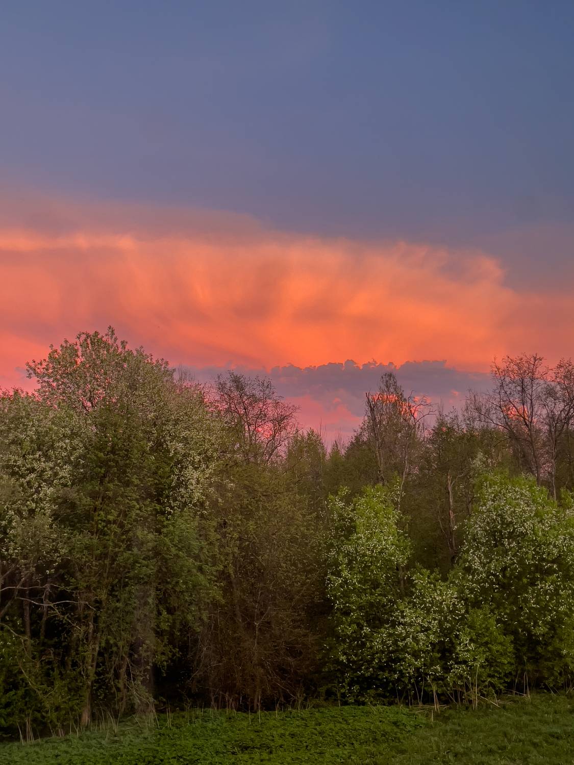 Photo #13754558