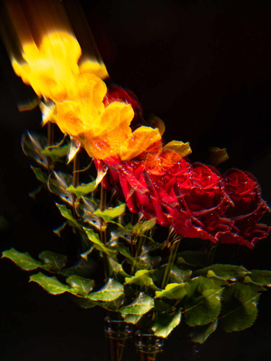 Photo #13754621