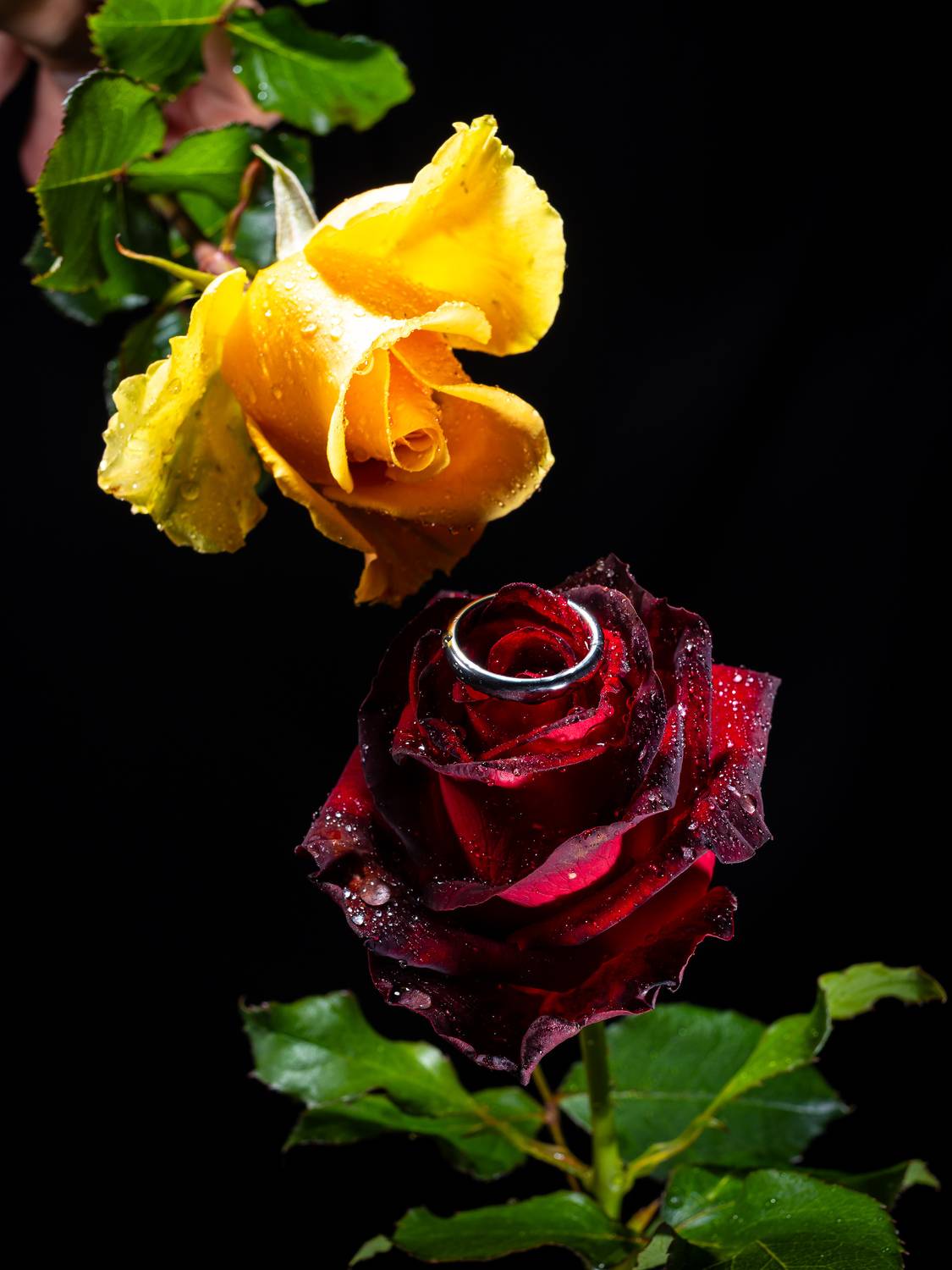 Photo #13754622