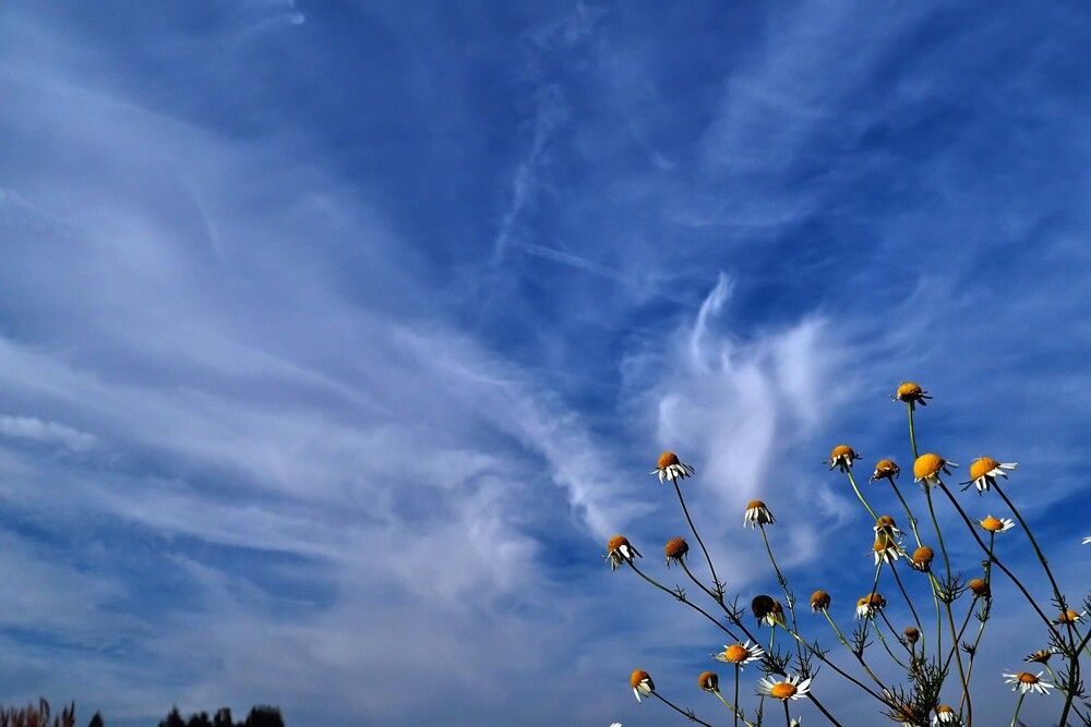 Photograph by valera0053