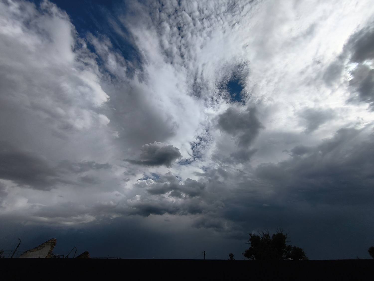 Photo #13754640