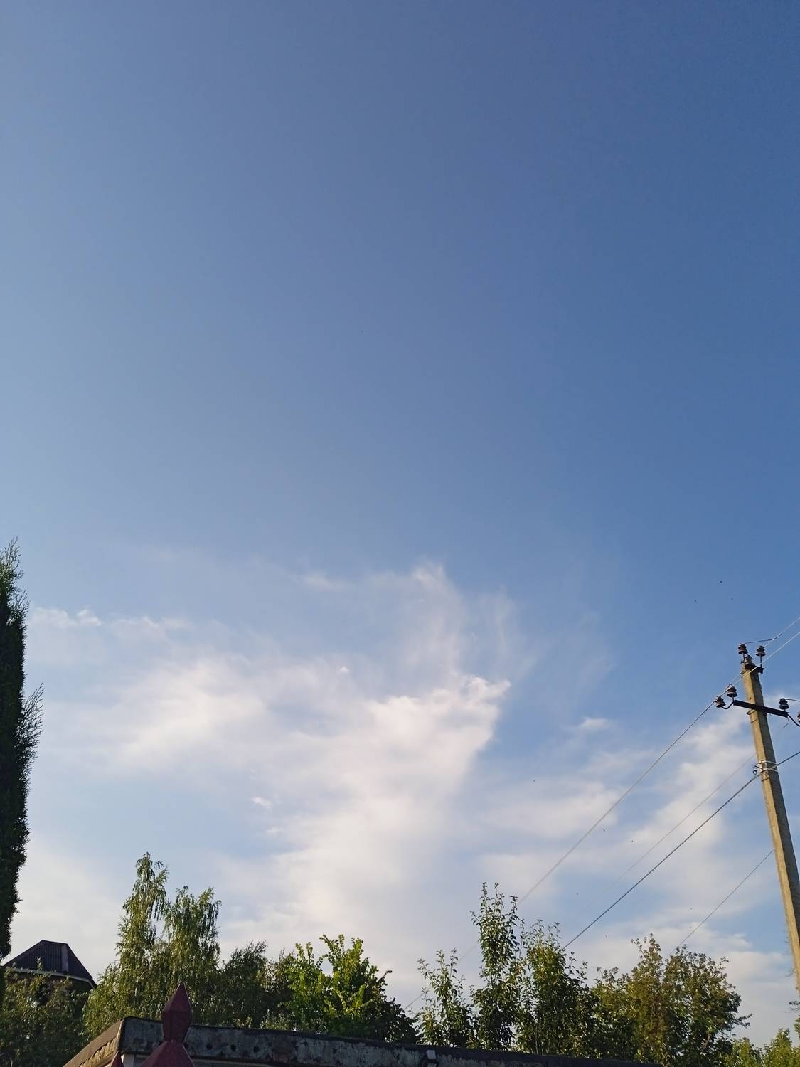 Photo #13754661