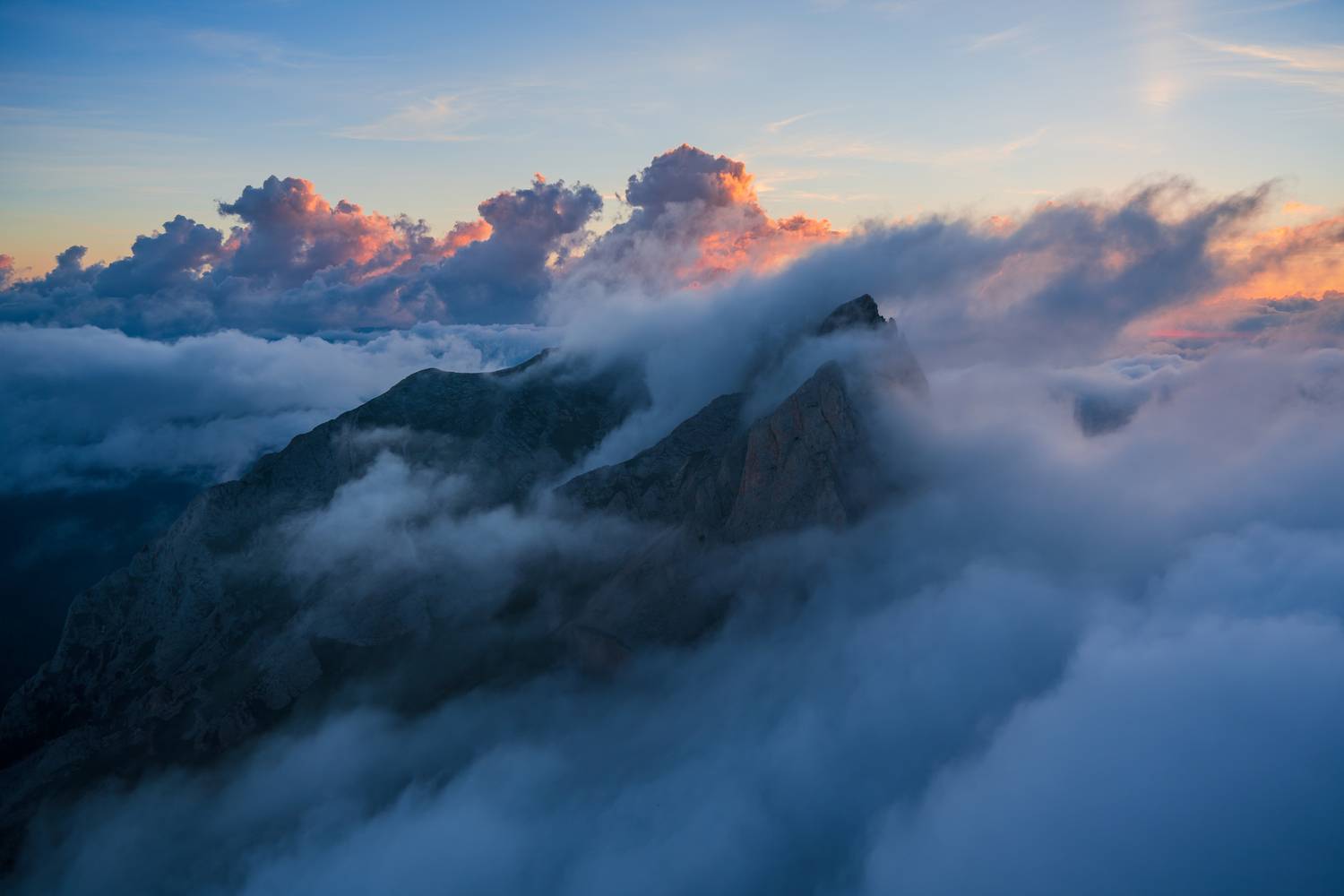 Photo #13754662