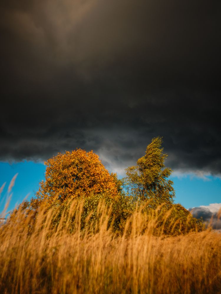 Photograph by Владимир Петухов