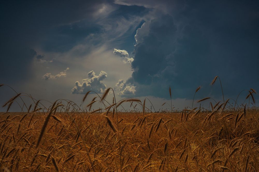 Photograph by Владимир Петухов