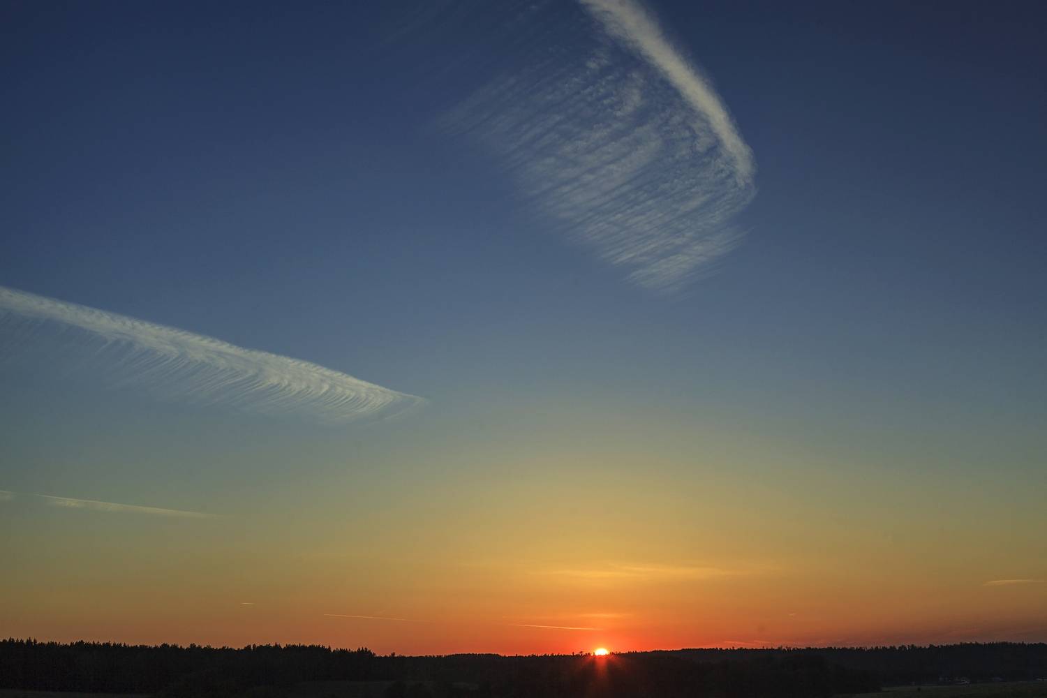 Photo #13754695