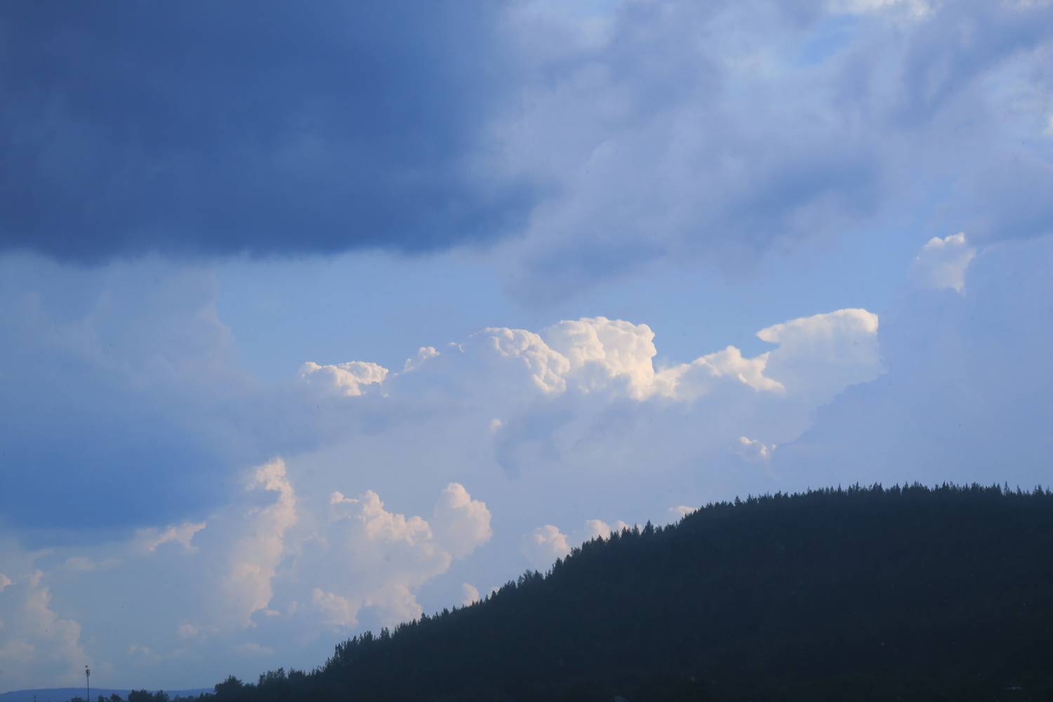 Photo #13754768