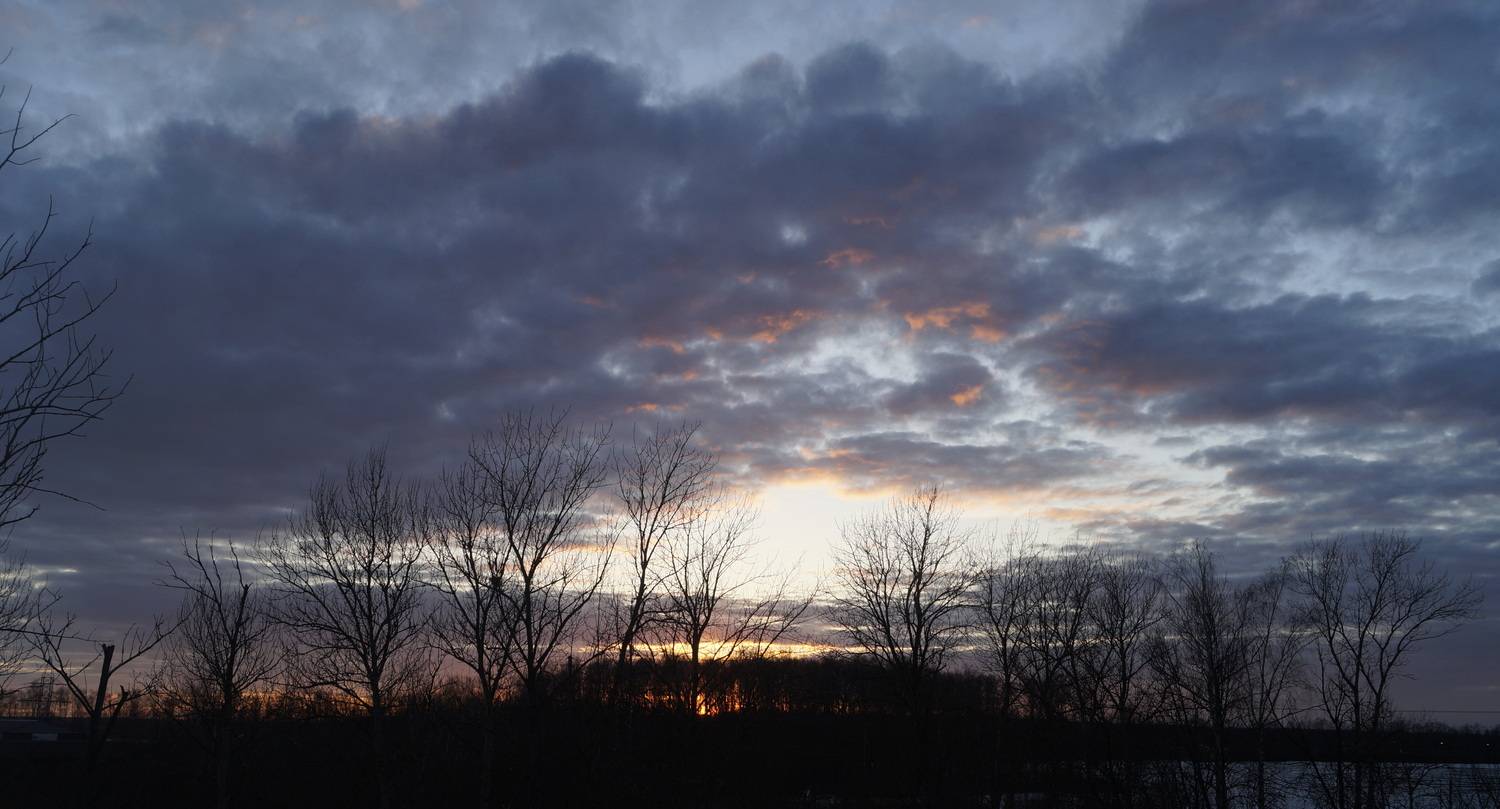 Photo #13754776