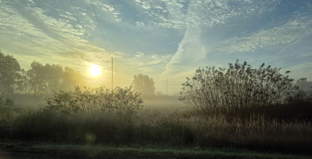 Photograph by Светлана Сушкевич