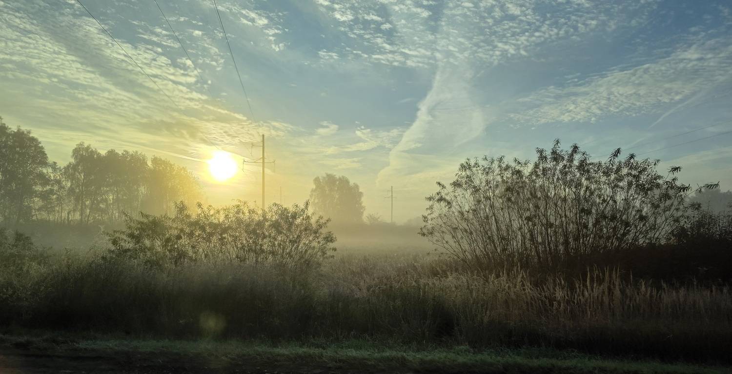 Photo #13754780