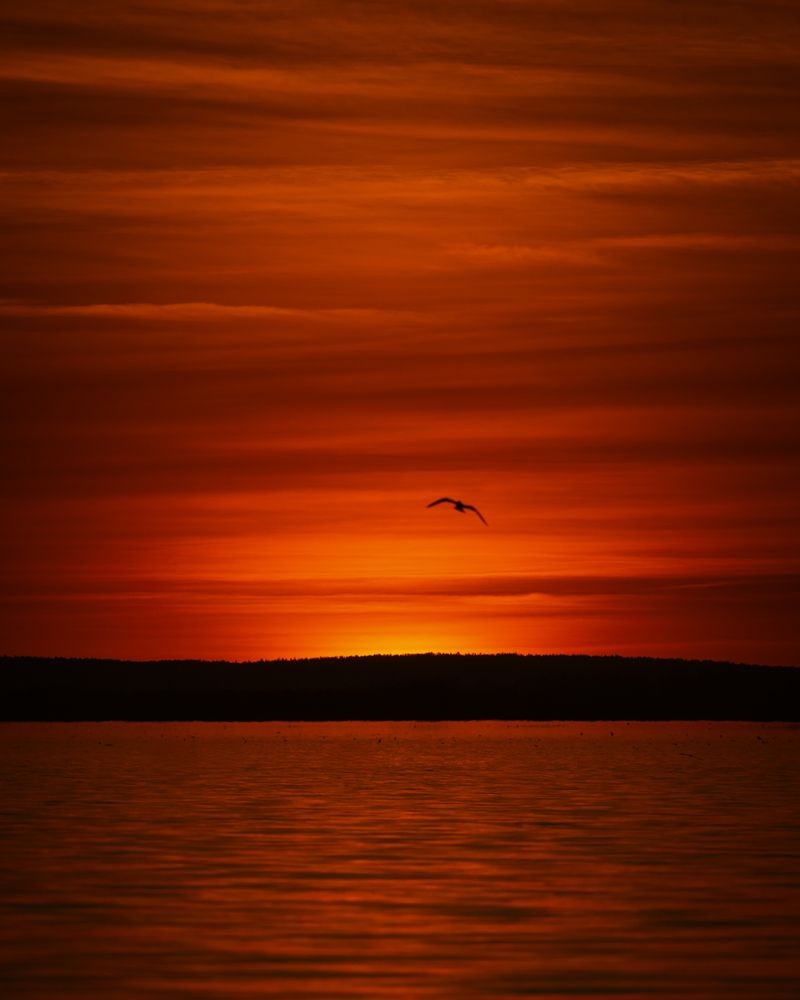 Photograph by Ulan