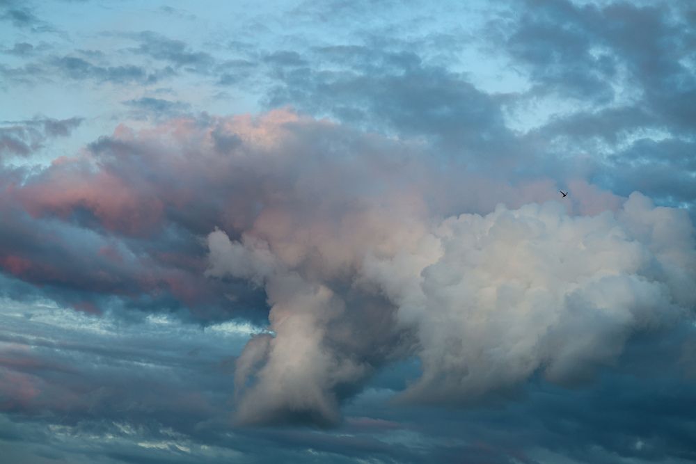 Photograph by Светлана Сергеева