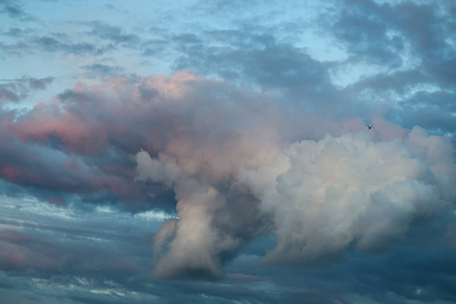 Photo #13754869