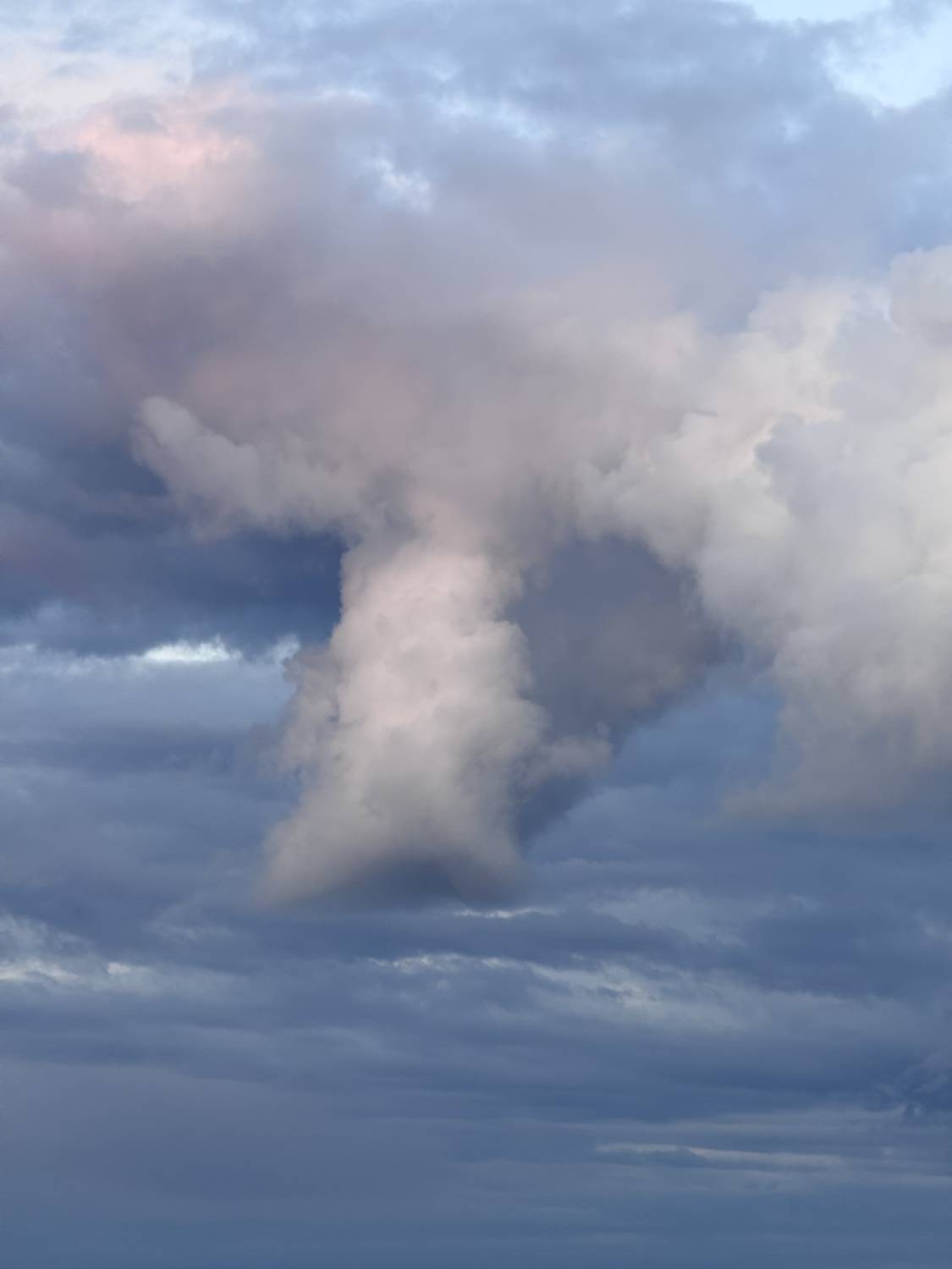 Photo #13754877