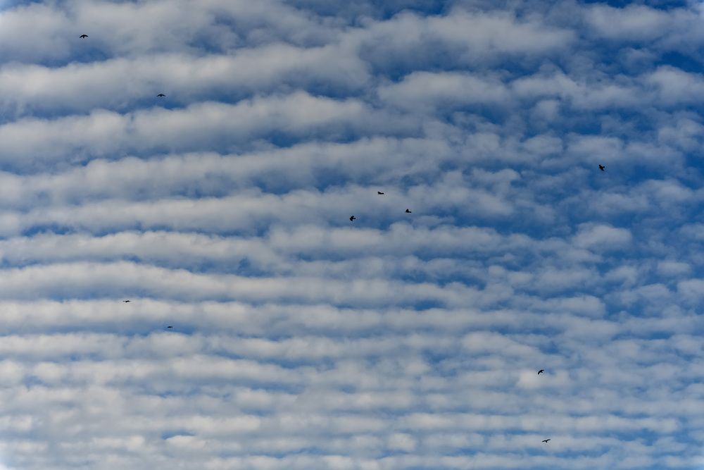 Photograph by Ольга Михайлова