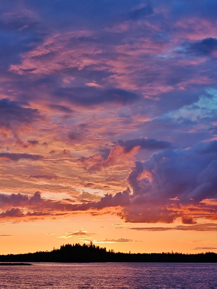 Photo #13754902