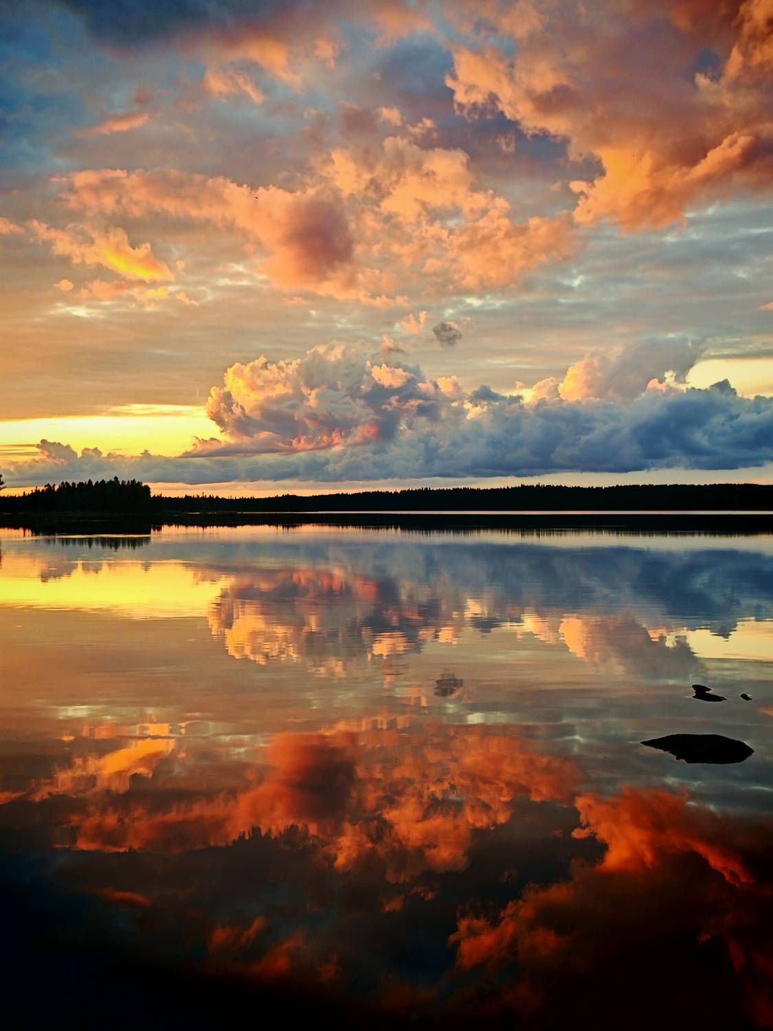 Photo #13754909