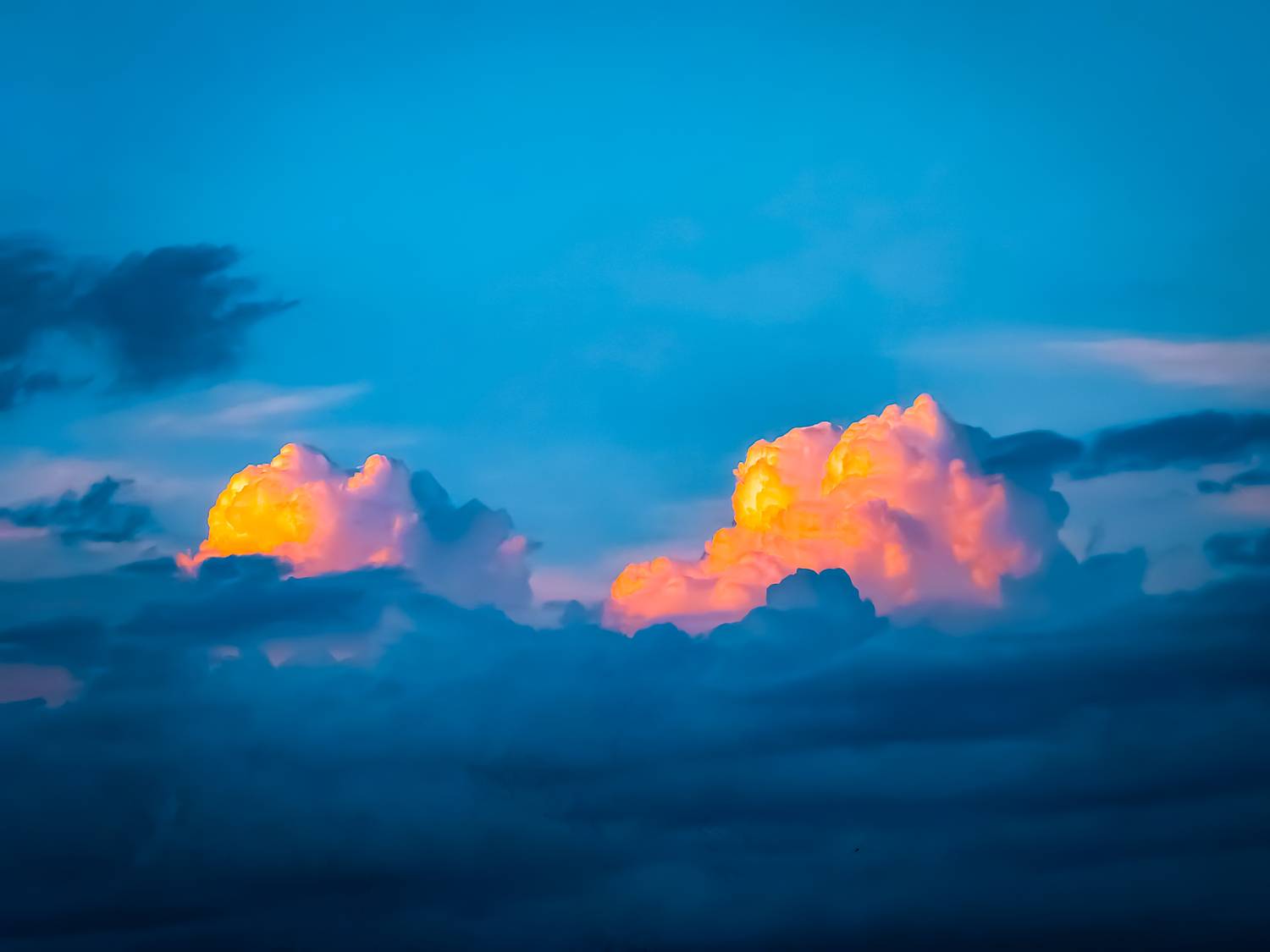 Photo #13754965