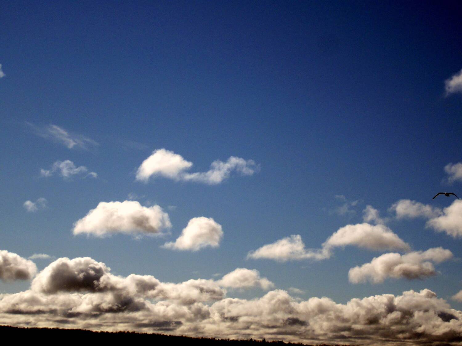 Photo #13755015