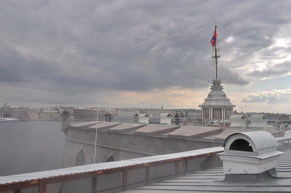 Петропавловка .Сиреневый монохром.