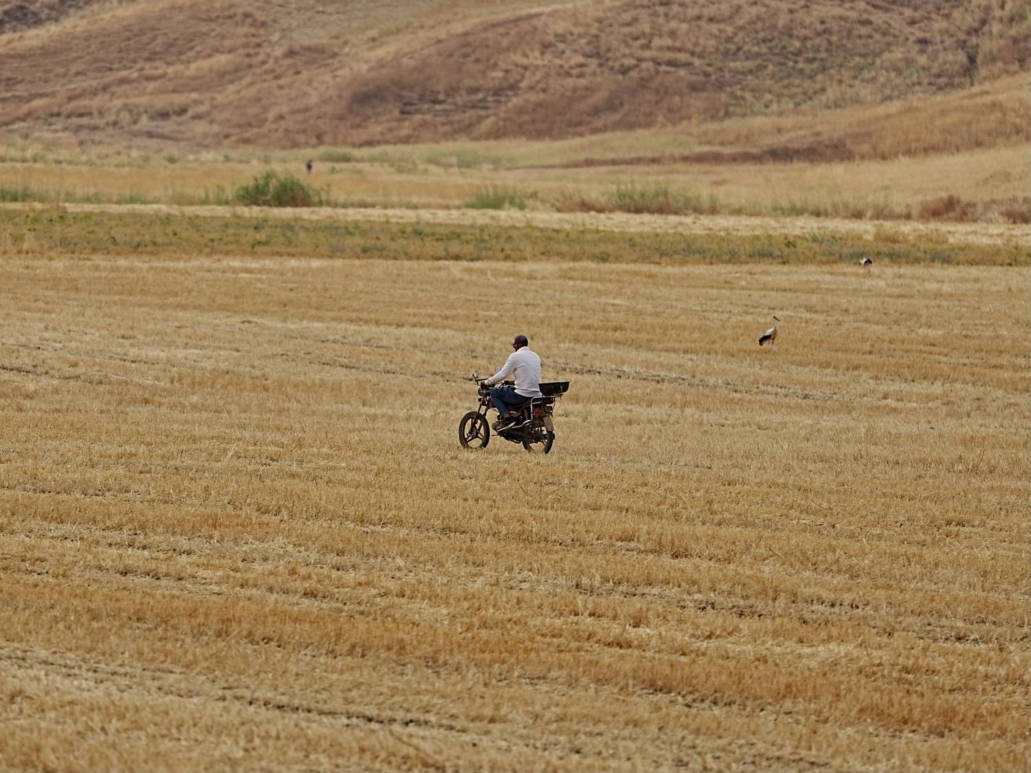 Photo #13755064