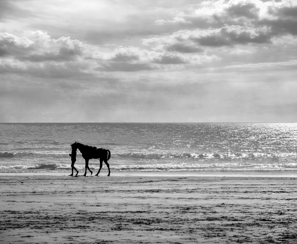 Resilience in Stillness