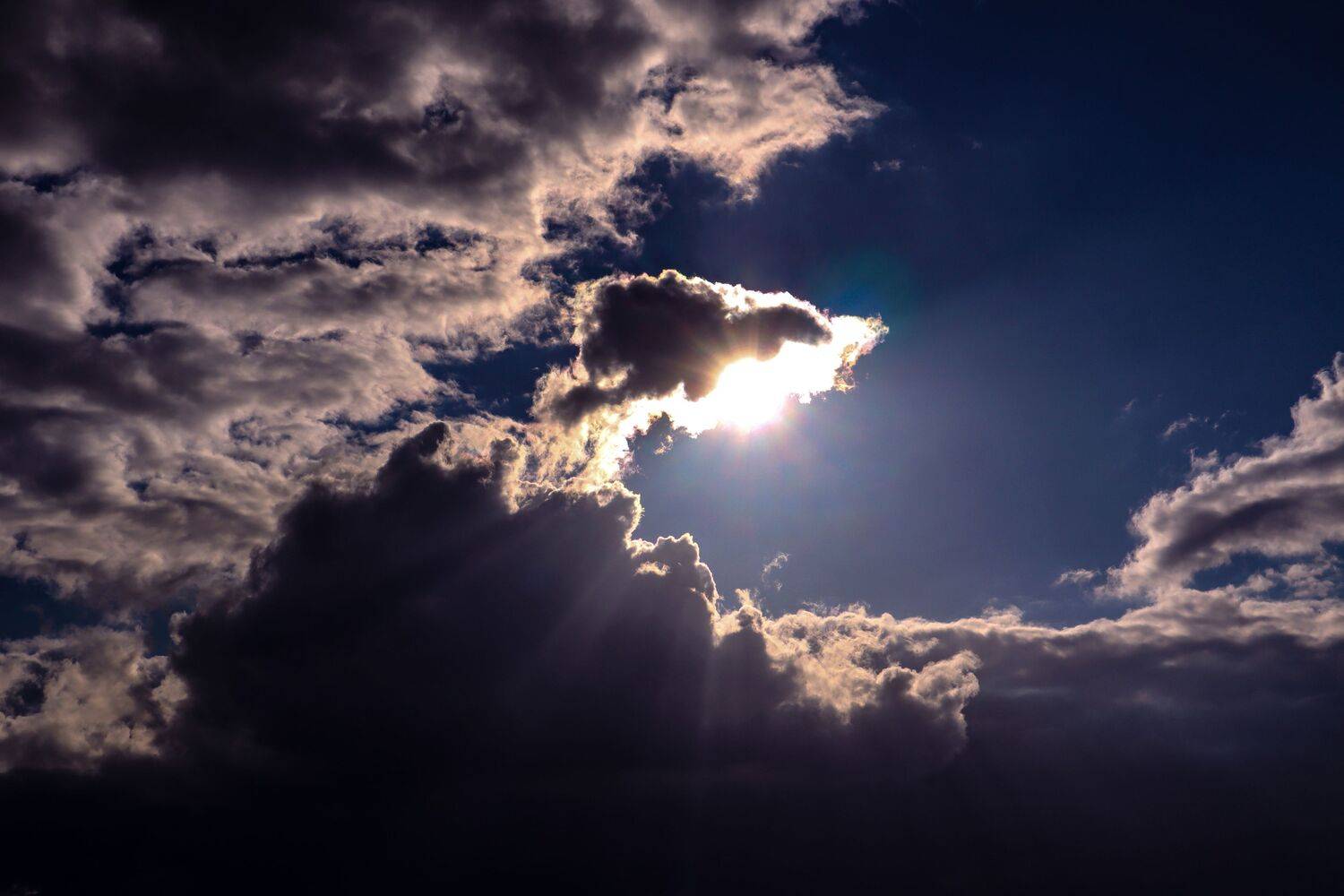 Photo #13755204