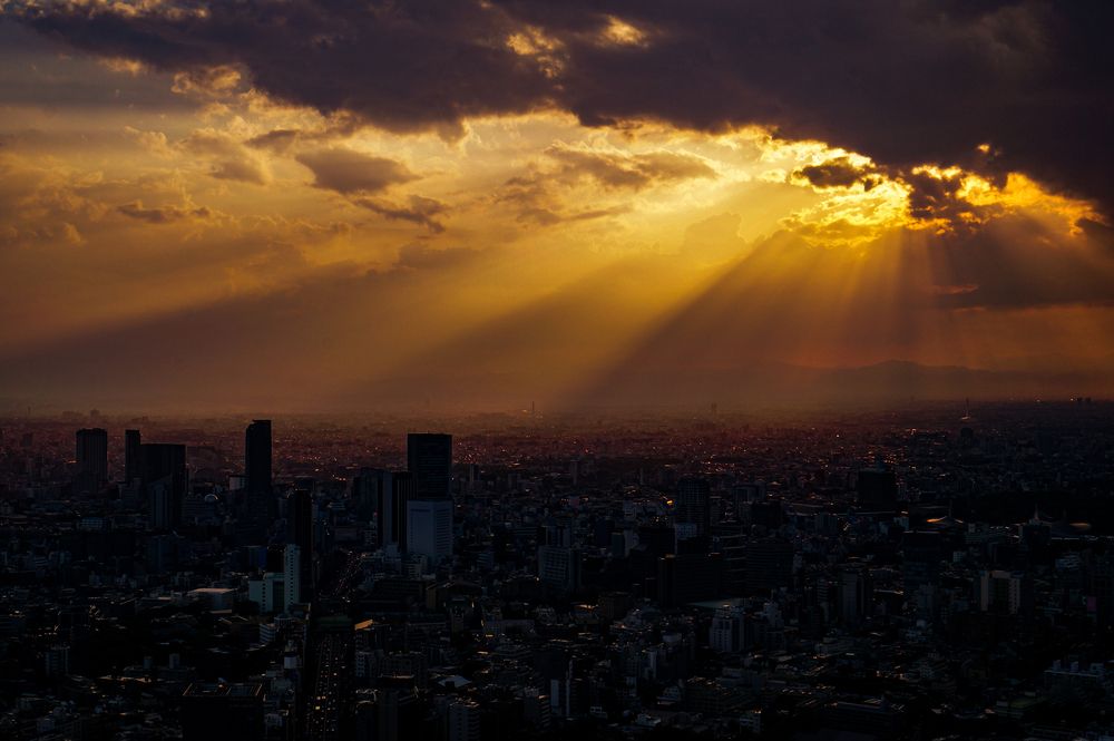 Photograph by Владимир Ельников
