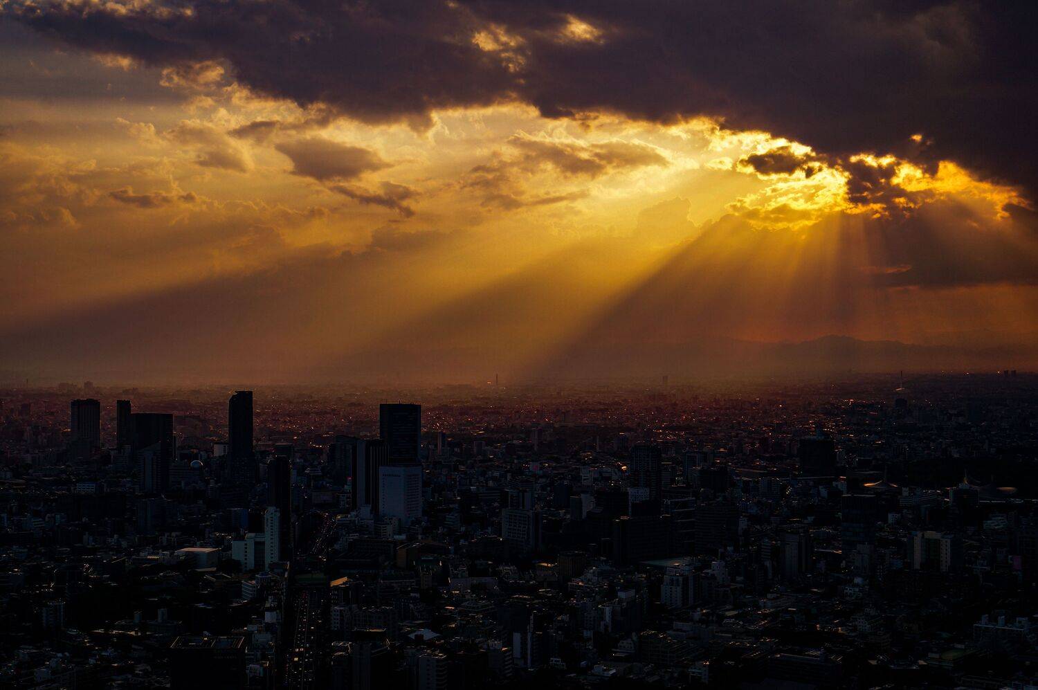 Photo #13755222